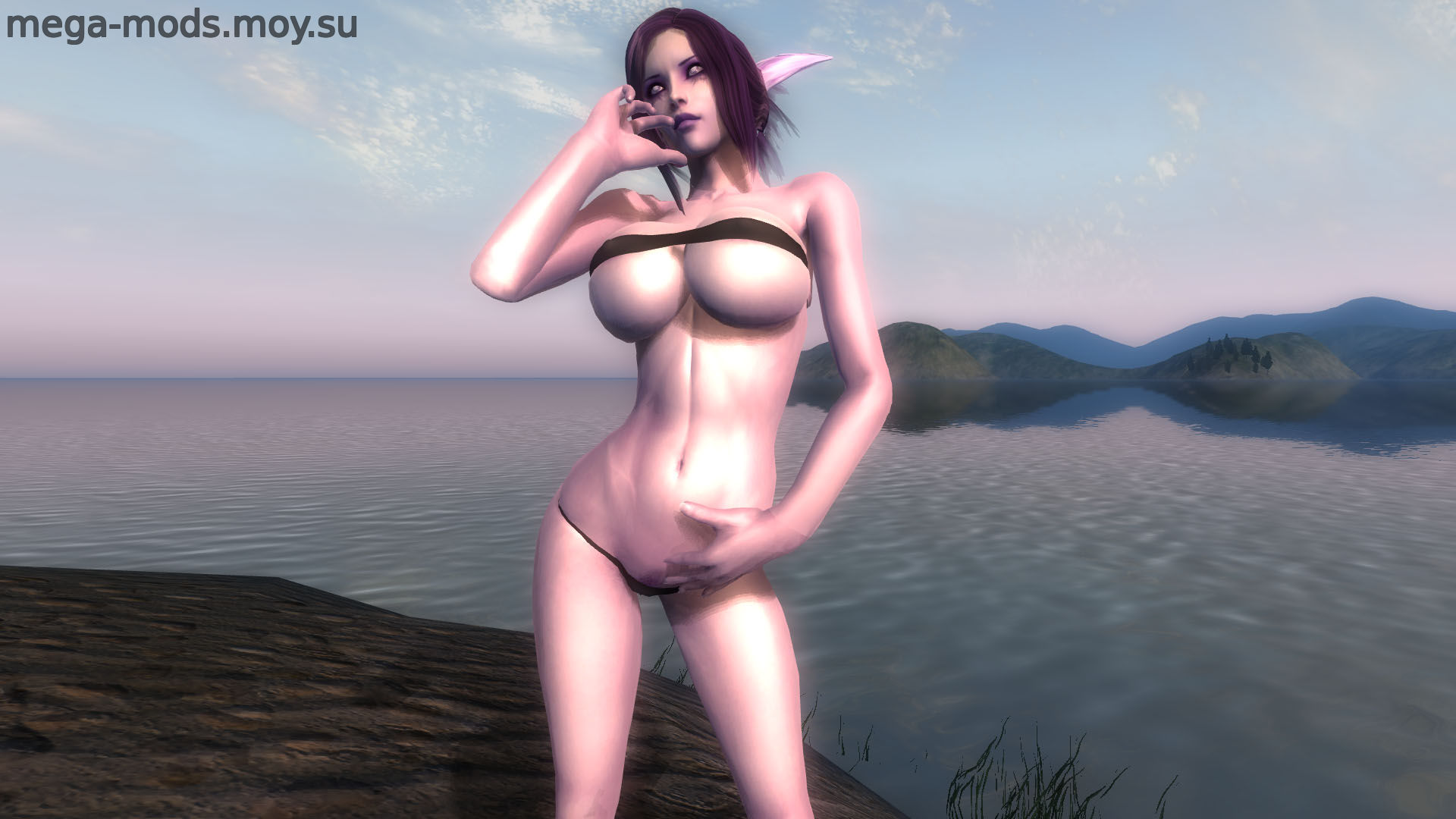 CM Partners: Night Elves Companions 1.0
